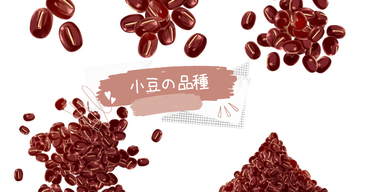 小豆の品種あれこれ