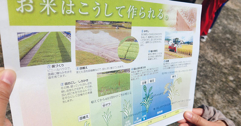 田中農場田植え体験会お米づくりについてのお話