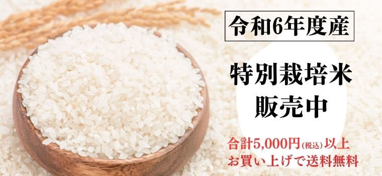 令和6年度産（2024年度産）特別栽培米販売中！