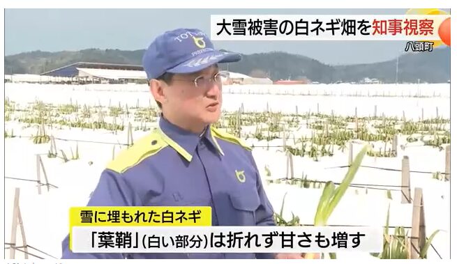 大雪で白ねぎに被害 知事が農家を視察 八頭町