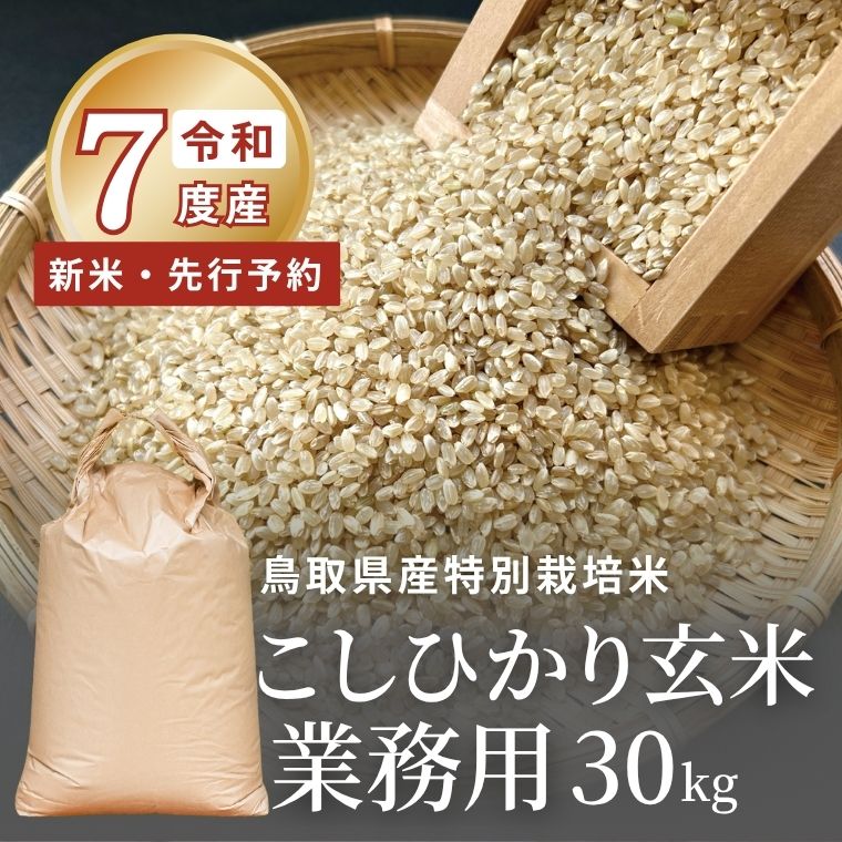 令和7年度産新米こしひかり玄米 業務用30kg予約スタート