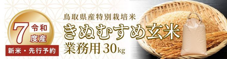7ǯٻơͽĻ踩 ̺ ̤हḼ ̳ 30kgʤҤȤ2ޤޤǡ11缡ȯ