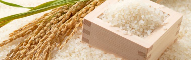 鳥取・八頭の特別栽培米・野菜の通販専門店 田中農場