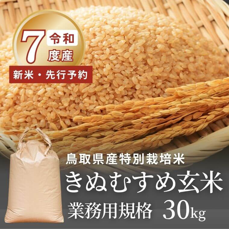 令和7年度産・新米【早期予約】鳥取県産 特別栽培米 きぬむすめ