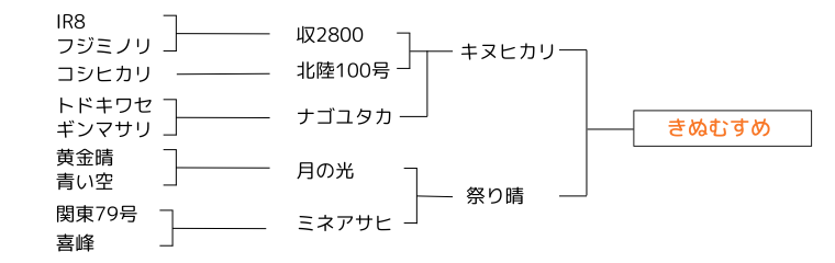 鳥取・八頭の特別栽培米・野菜の通販専門店 田中農場