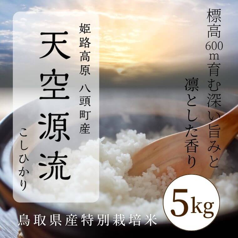 令和8年産 新米予約】天空源流 こしひかり5kg｜10月より順次発送