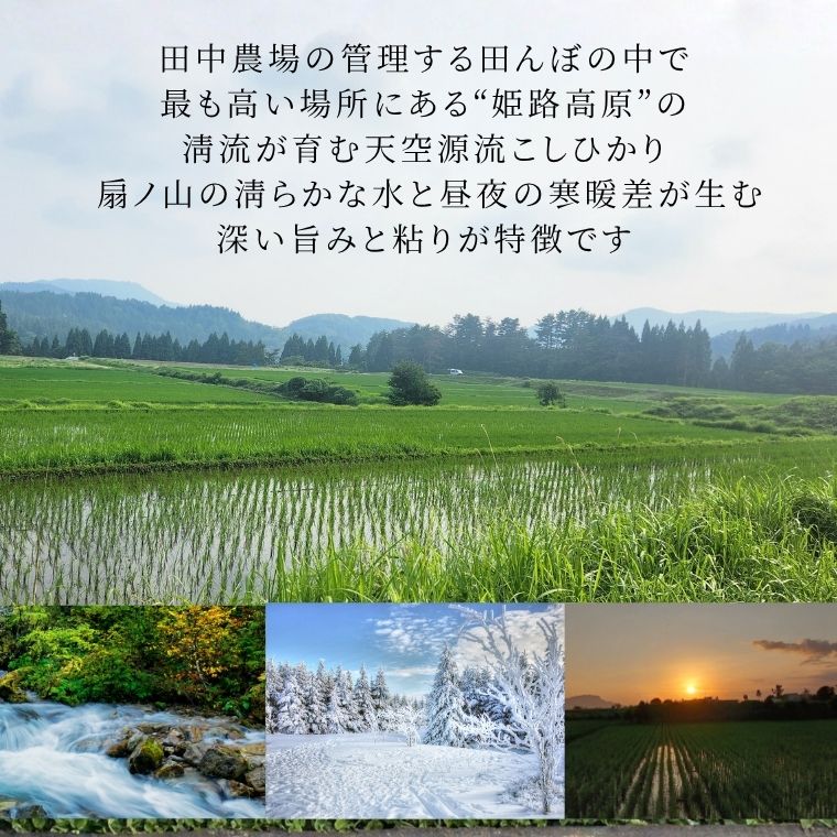 天空源流シリーズ こしひかり10kg｜鳥取・八頭の特別栽培米・野菜の