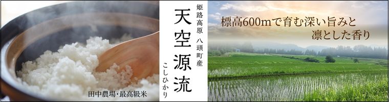 令和7年度産 天空源流こしひかり 販売中