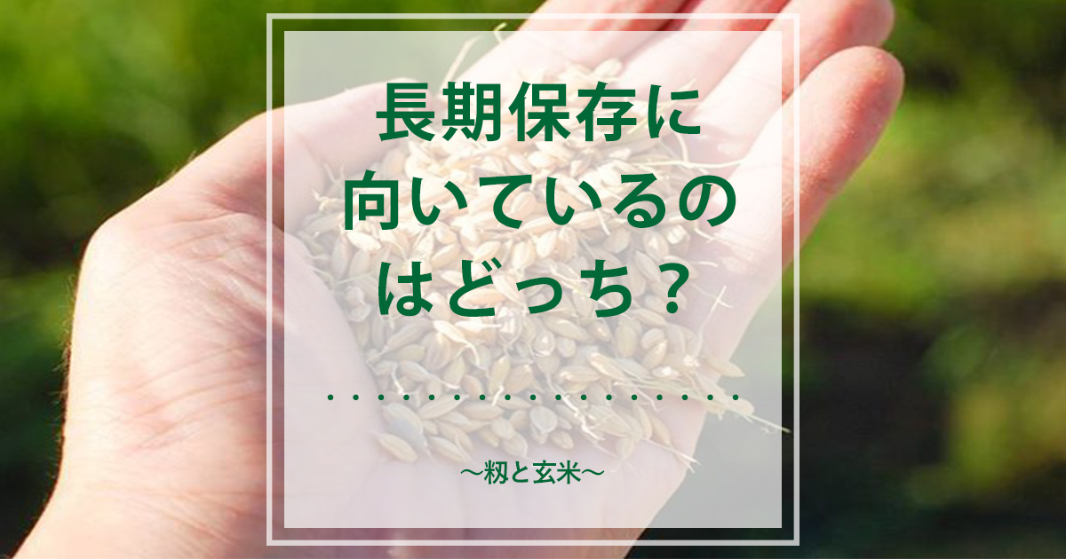 籾（もみ）と玄米、長期保存に向いているのはどっち？