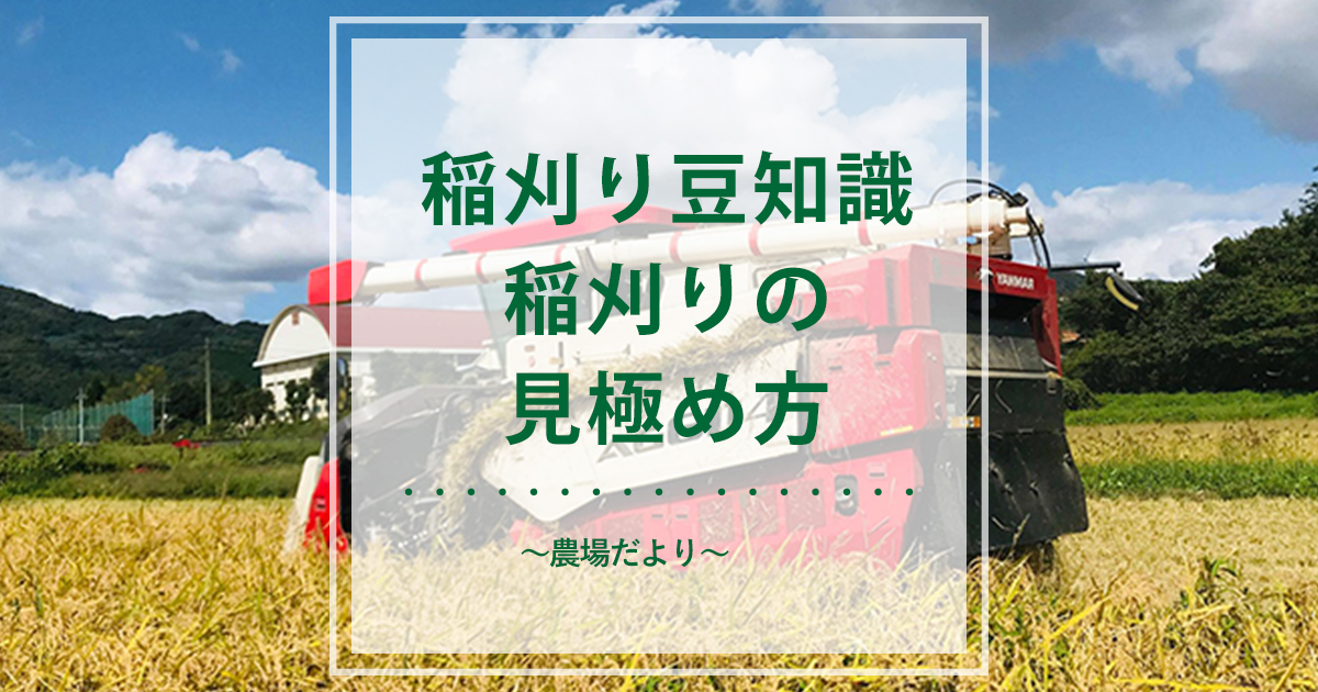 稲刈り豆知識！稲刈りの見極め方・タイミングから農機具コンバインの 