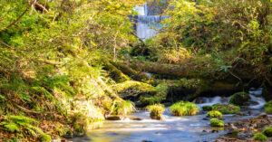 鳥取の川の画像