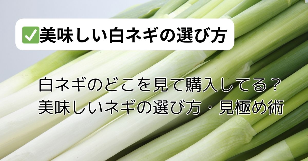 白ネギのどこを見て購入してる？スーパーなどでの美味しいネギの選び方・見極め術