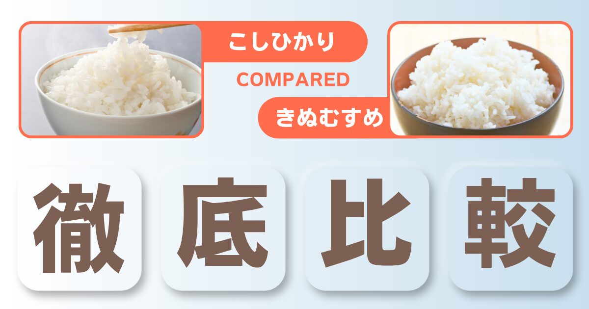 きぬむすめとコシヒカリの違いを米農家が徹底比較